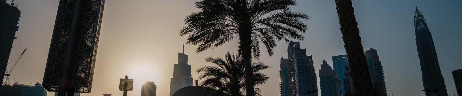 PRO & Government Relations